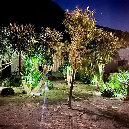 L'Oasi Una Pineta Sul Mare 库斯托纳奇 外观 照片