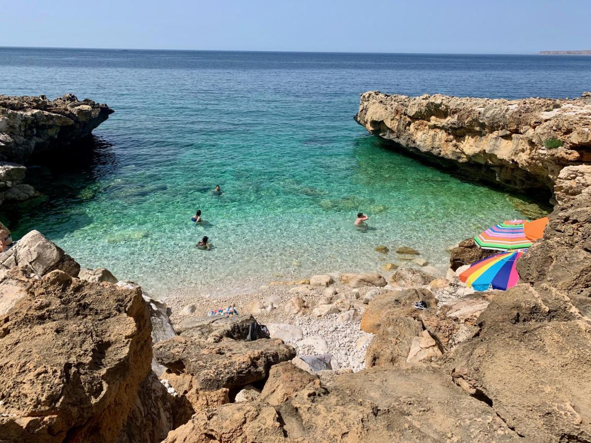 L'Oasi Una Pineta Sul Mare 库斯托纳奇 外观 照片