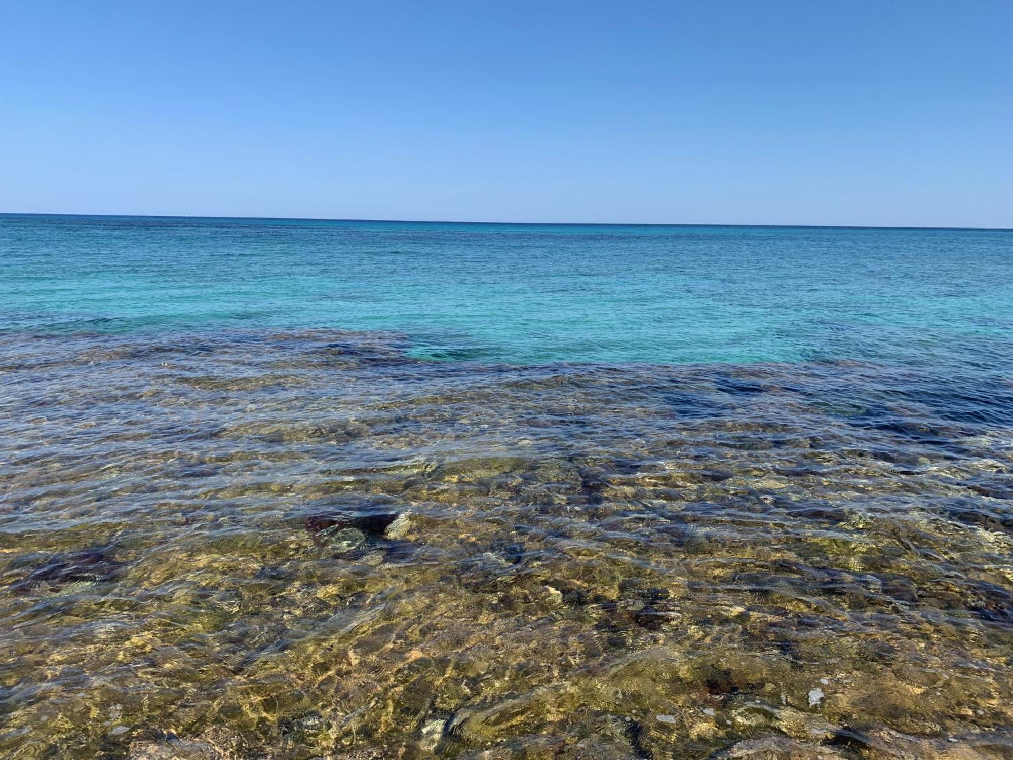 L'Oasi Una Pineta Sul Mare 库斯托纳奇 外观 照片