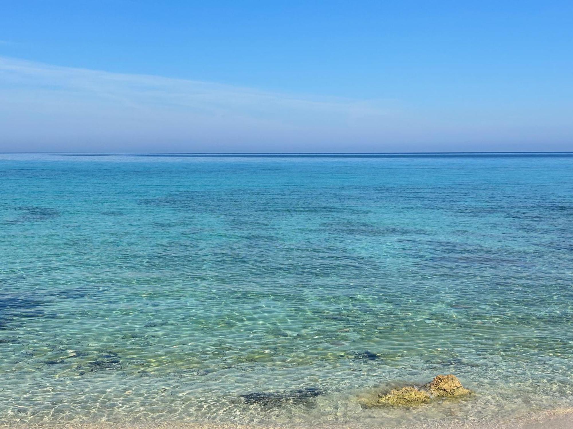 L'Oasi Una Pineta Sul Mare 库斯托纳奇 外观 照片