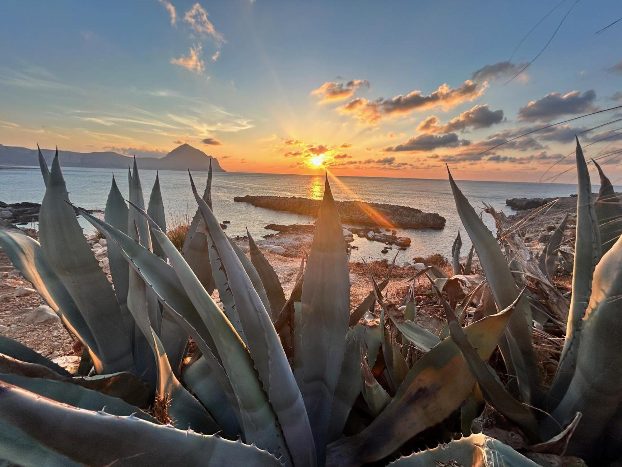 L'Oasi Una Pineta Sul Mare 库斯托纳奇 外观 照片