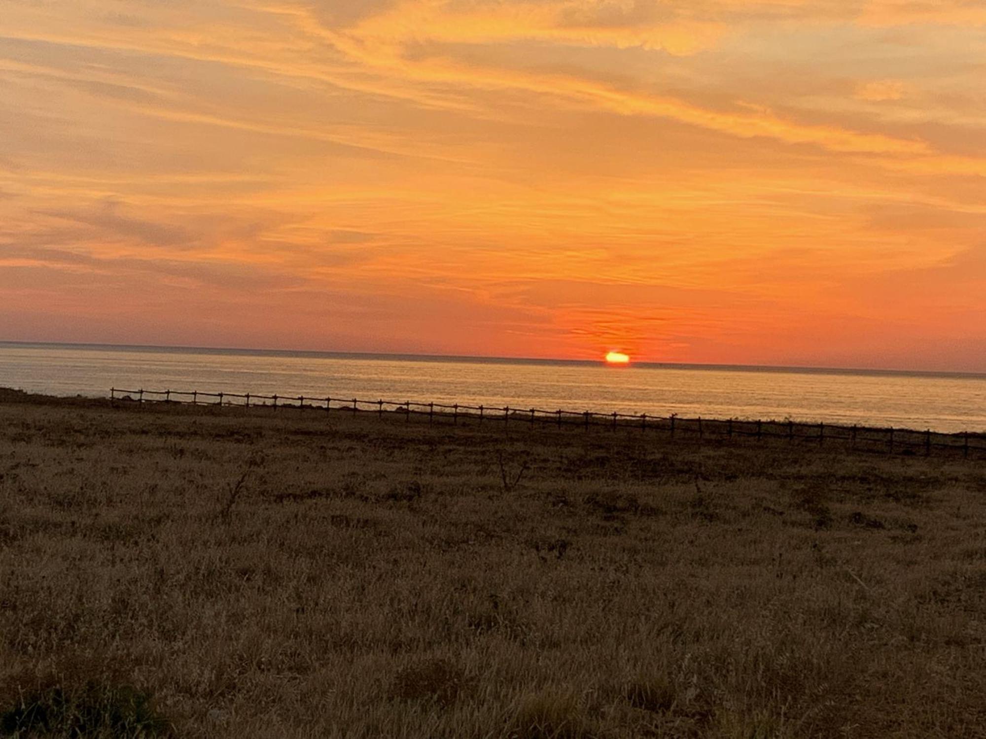 L'Oasi Una Pineta Sul Mare 库斯托纳奇 外观 照片